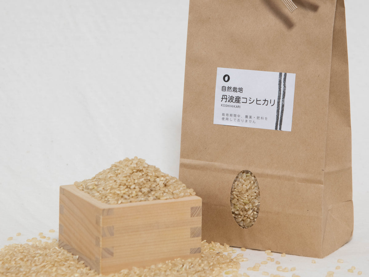 自然栽培 丹波産コシヒカリ