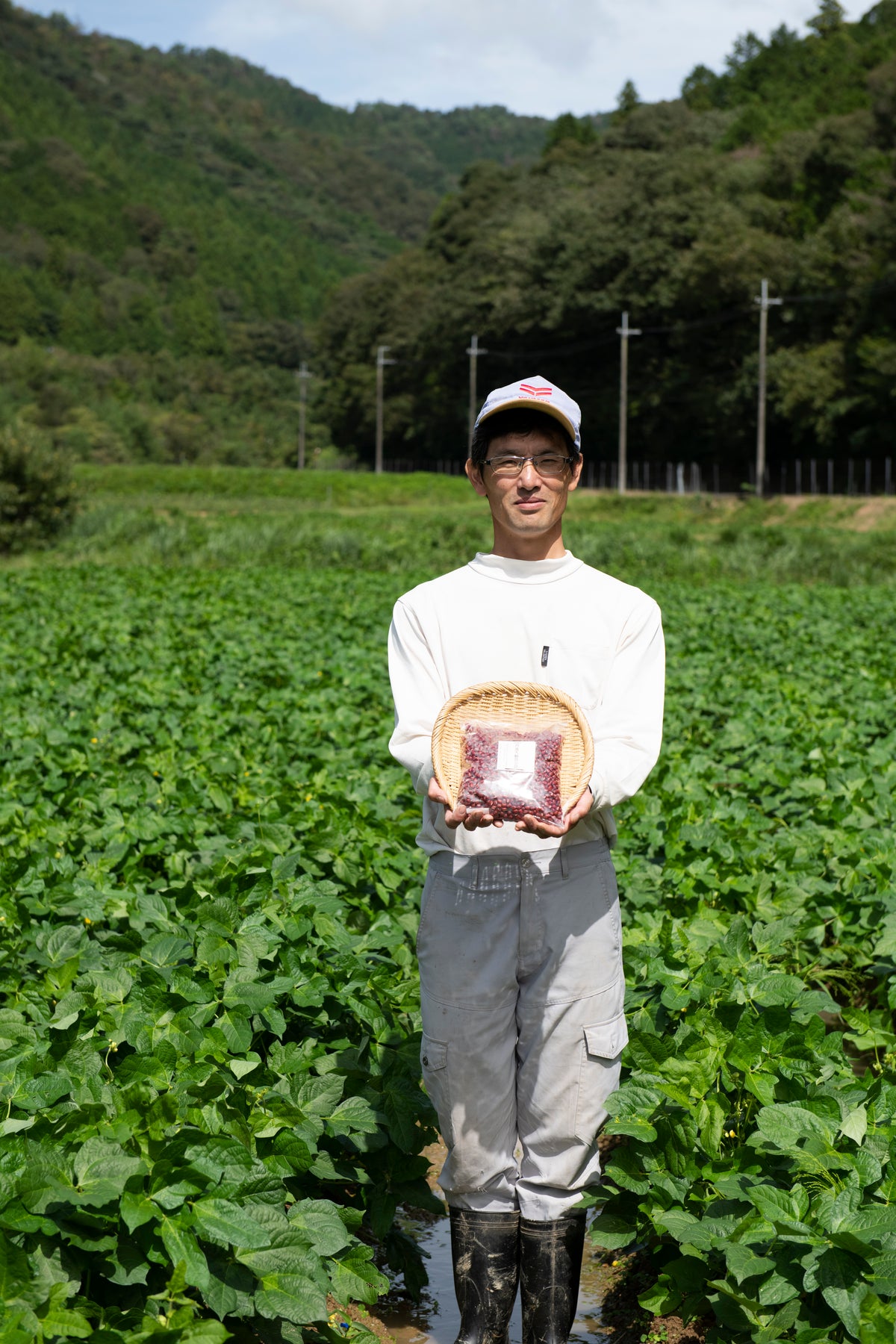 自然栽培　丹波大納言小豆 (クリックポストでの配送）